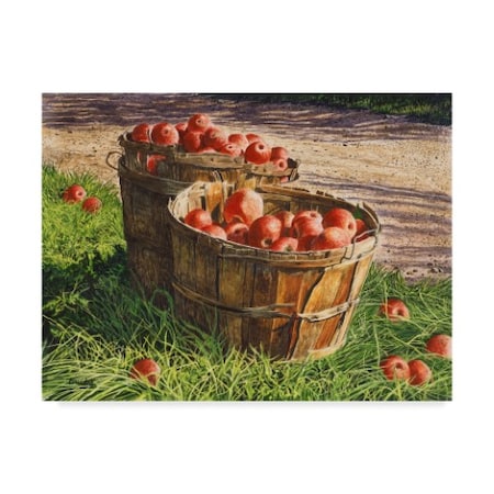 Michael Davidoff 'Apple Bushels' Canvas Art,14x19
